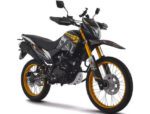 ZONSEN ZS300GY