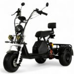 Електровелосипед EVOBIKE Grizzly X3 PRO 2000W 48V 24Ah (20″ Fat Bike)